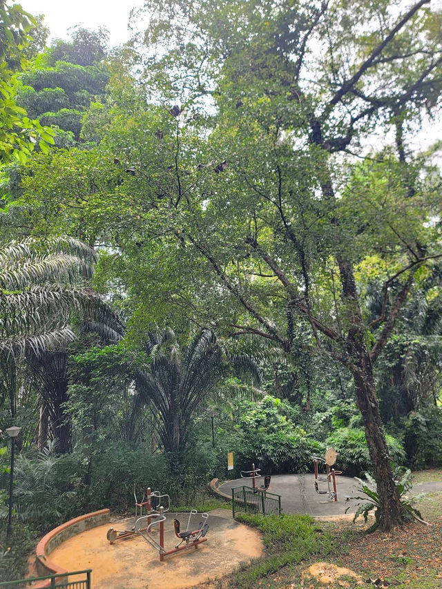 Discovering Telok Blangah Hill Park: A Tranquil Escape in Singapore 