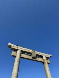 【福岡/糸島】トトロの森🌳
