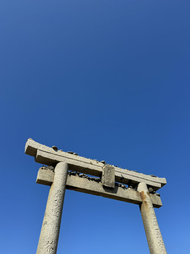 【福岡/糸島】トトロの森🌳
