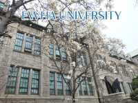 เที่ยวฤดู Spring in Ewha University 🌸