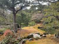 “Golden Splendor: A Day Trip to Kyoto’s Iconic Kinkaku-ji”