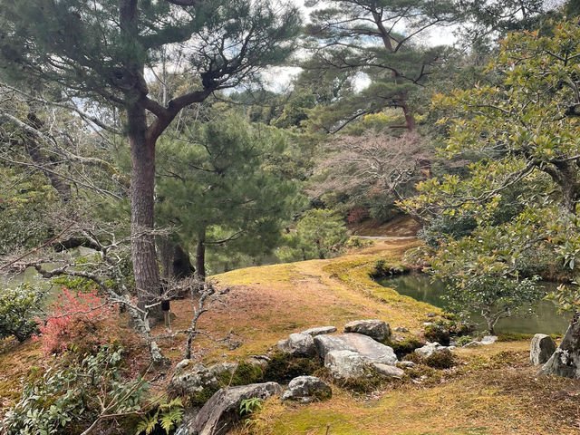 “Golden Splendor: A Day Trip to Kyoto’s Iconic Kinkaku-ji”