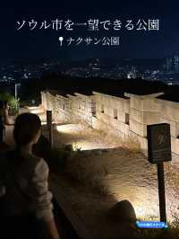 【韓国 ソウル】ソウル市を一望できる素敵な公園⛲️