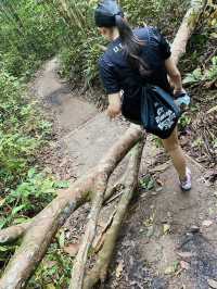 🇸🇬 Conquering the Summit: A Hike up Bukit Timah Hill in Singapore