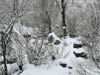 【亞美尼亞】冬季雪🌨️後的千年教堂雪景，絕對拍照出大片！