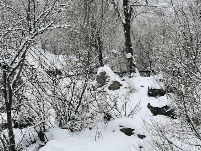 【亞美尼亞】冬季雪🌨️後的千年教堂雪景，絕對拍照出大片！