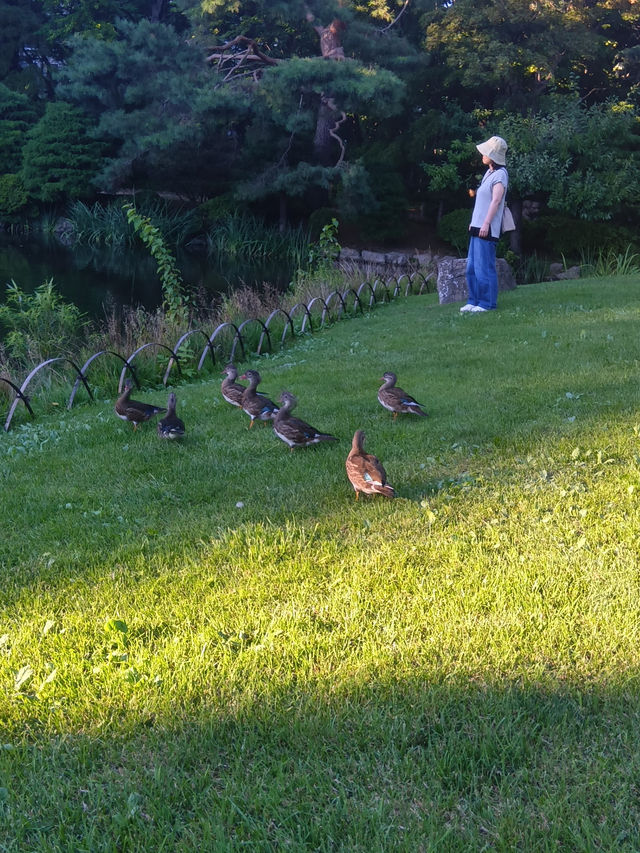 【北海道】自然がいっぱい中島公園
