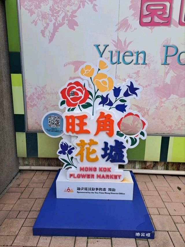 【Flower Market Rd:香港】綺麗なお花がたくさん売られている通り✨