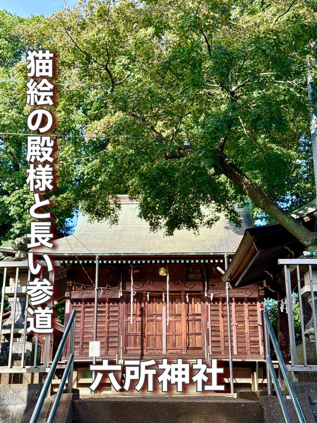 【埼玉県】猫絵の殿様と長い参道