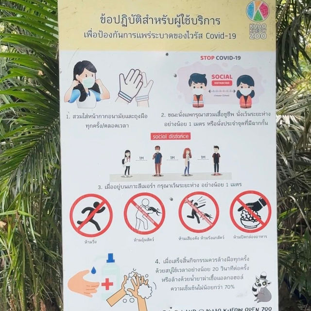 #เกาะลีเมอร์ #มาดากัสการ์ #สวนสัตว์เปิดเขาเขียว 