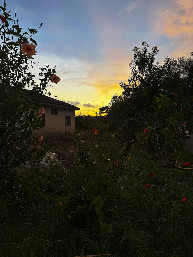 Capture Sunset in a beautiful village 🌆🌅