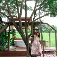 ที่พักไม่ไกลจากตัวเมืองเชียงใหม่