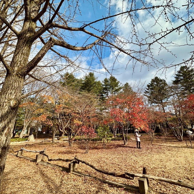 Autumn Splendor at Nami Island