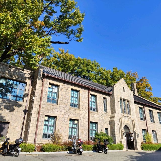 去首爾不能錯過的梨花女子大學銀杏林和紅葉美景