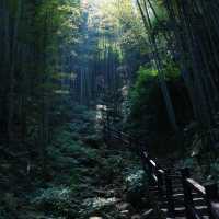 五桂山：青山綠水🌄🌿