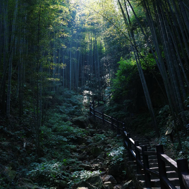 五桂山：青山綠水🌄🌿