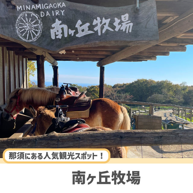 【栃木】色々な動物と触れ合える入場無料の牧場🐮