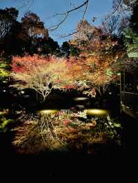 【東京の紅葉スポット🍁】池の水面に映り込む逆さ紅葉の絶景