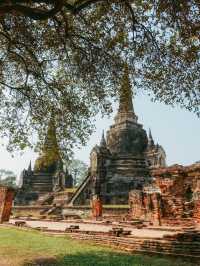 神秘的な木の根に包まれた仏頭像が見られる、アユタヤ🇹🇭