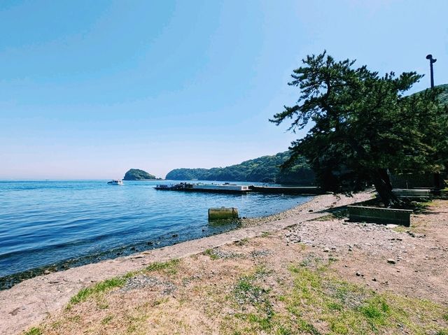 【和歌山×友ヶ島】神秘的な無人島で冒険気分を満喫