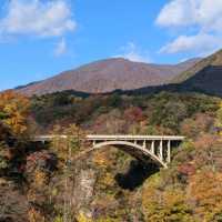 日本東北賞楓：鳴子峽與大深澤橋
