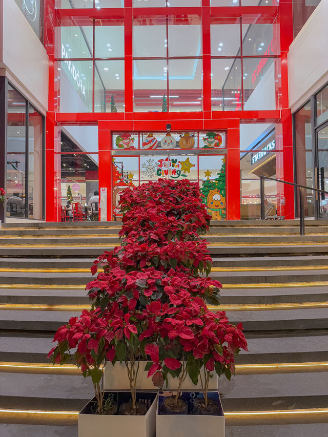 Christmas Light ที่ The Mall Lifestore Bangkae 🎄