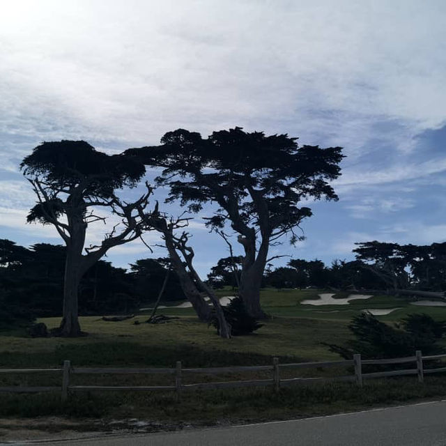 Discover the Splendid View of 17 miles drive at California