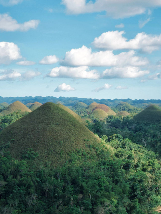 Bohol: A Tropical Paradise of Natural Wonders and Wildlife