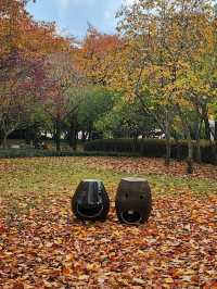 연인과 가을에 힐링하기 좋은 경상감영공원🍂