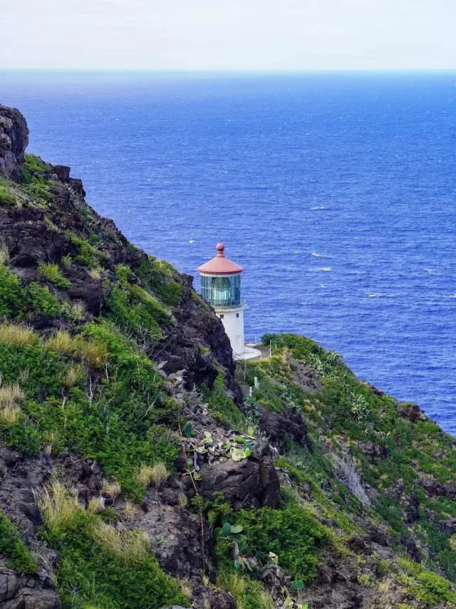 Makapu’u Lighthouse Trail: A Scenic Hike with Views that Take Your Breath Away