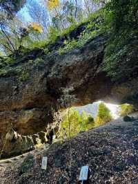 1 Day Power Spots Trip around Takachiho Gorge & Mount Aso