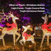 Fukuoka Christmas Market  & Illumination 2024🎄✨