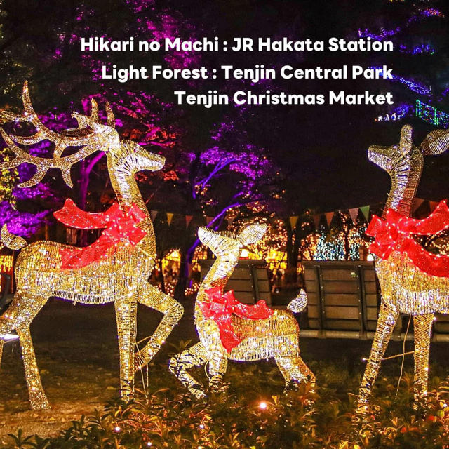 Fukuoka Christmas Market  & Illumination 2024🎄✨
