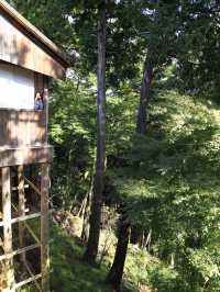 📍 【奈良】吉野山で歴史と自然を満喫