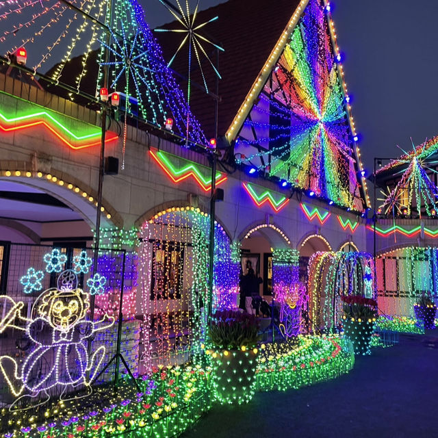 東京ドイツ村・ウィンターイルミネーション🎄