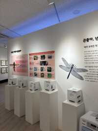 쾌적한 환경에서 자연 역사 구경하기❤️