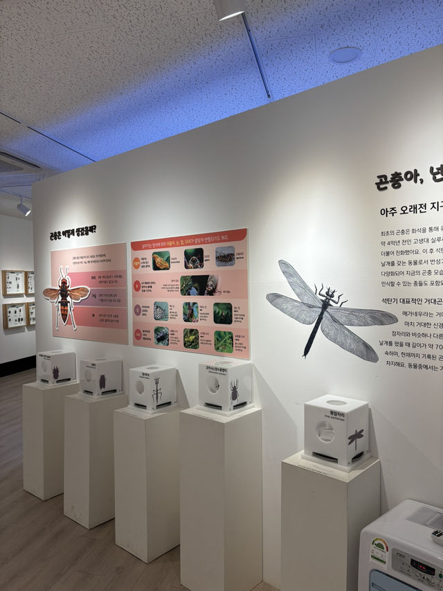 쾌적한 환경에서 자연 역사 구경하기❤️
