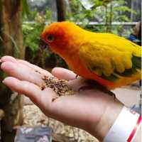 Enjoy This moment at Tambun Lost World