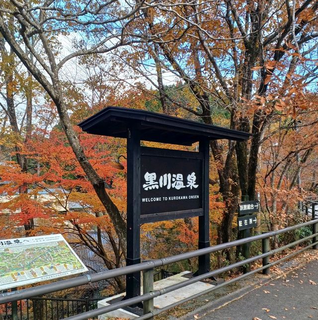 ♨️구마모토의 평온하고 고요한 자연속에 있는 온천마을 쿠로카와 온천~🏞