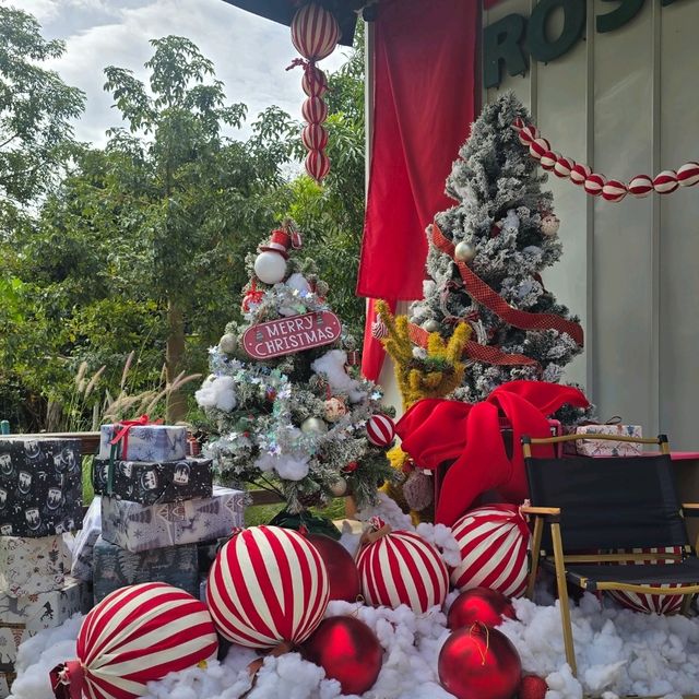 RoseBay: โฮมเมดคาเฟ่สุดอบอุ่น ใจกลางเขาใหญ่