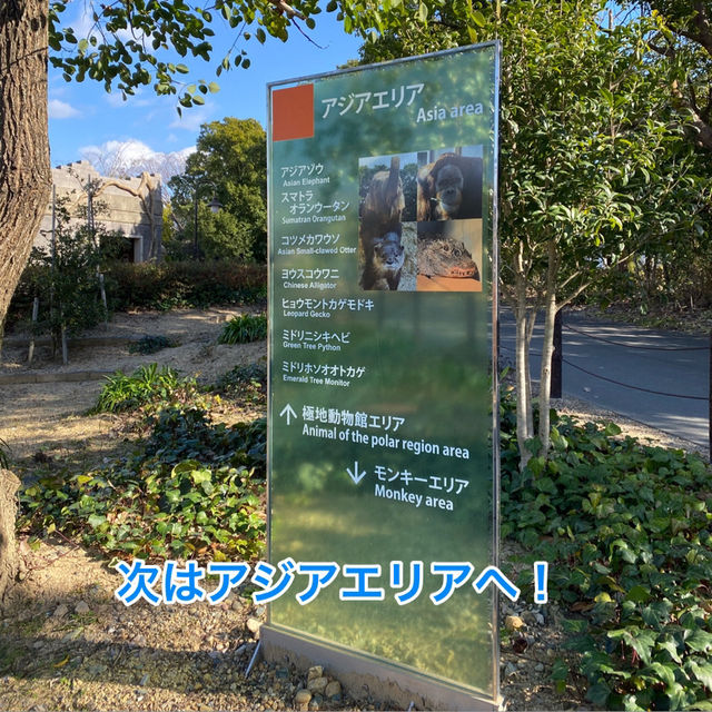 動物に癒されよう！のんほいパーク(豊橋総合動植物公園）