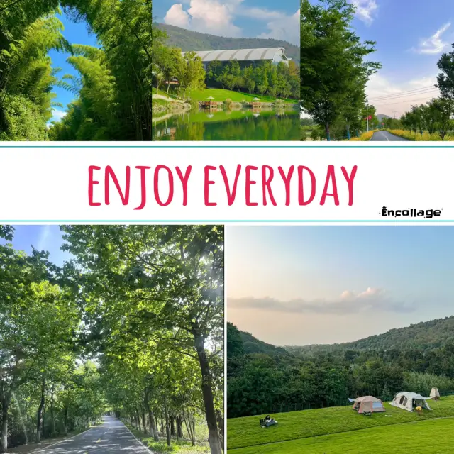 竹海營地⛳️綠意天堂 🌿🏕️