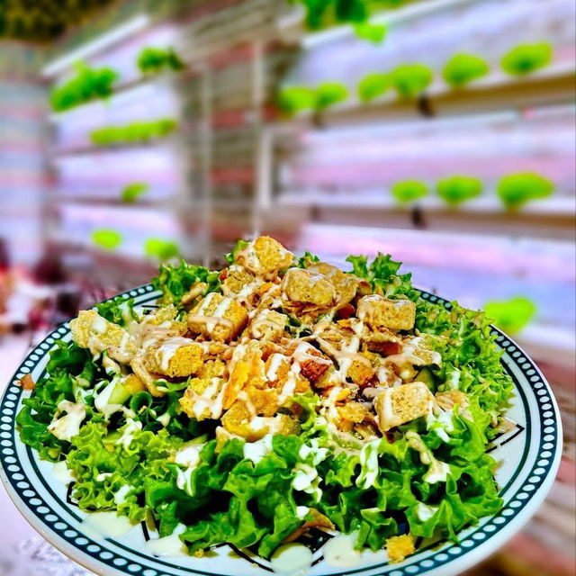 V Life Cafe Ipoh