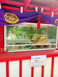 【東京】2025年初詣に行ってほしい!!最強神社はココ!!