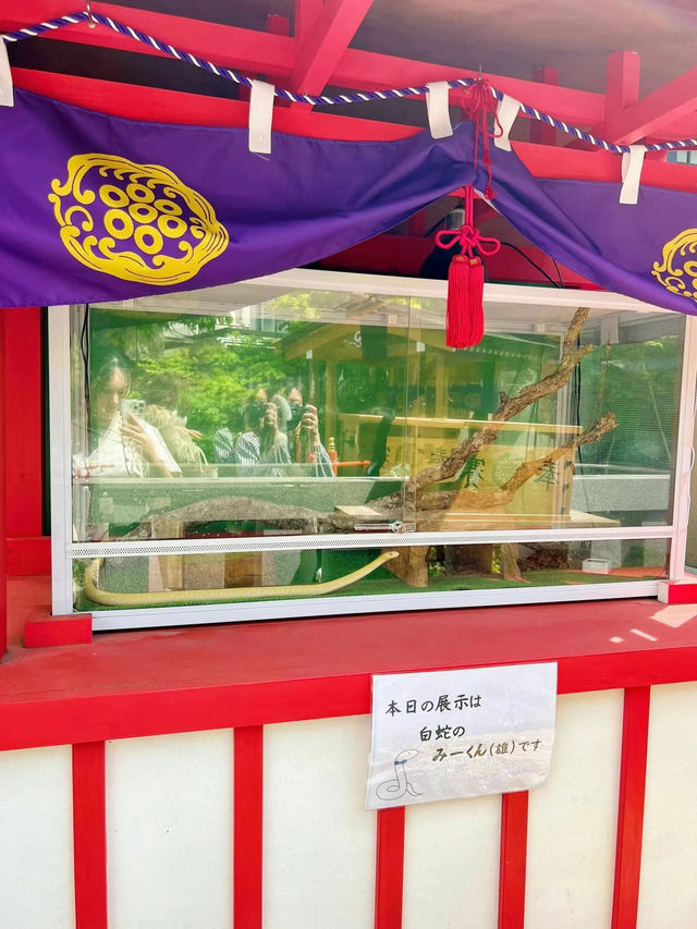 【東京】2025年初詣に行ってほしい!!最強神社はココ!!