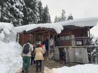 A Magical Encounter at Snow Monkey Park, Japan
