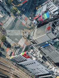 Shibuya Scramble Crossing
