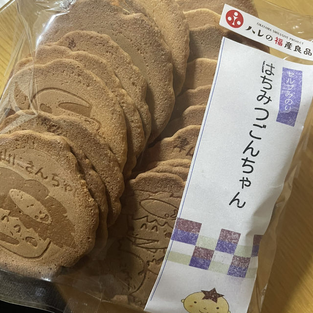 岡山県津山市🏯