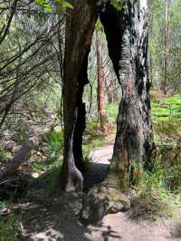 Grampians National Park