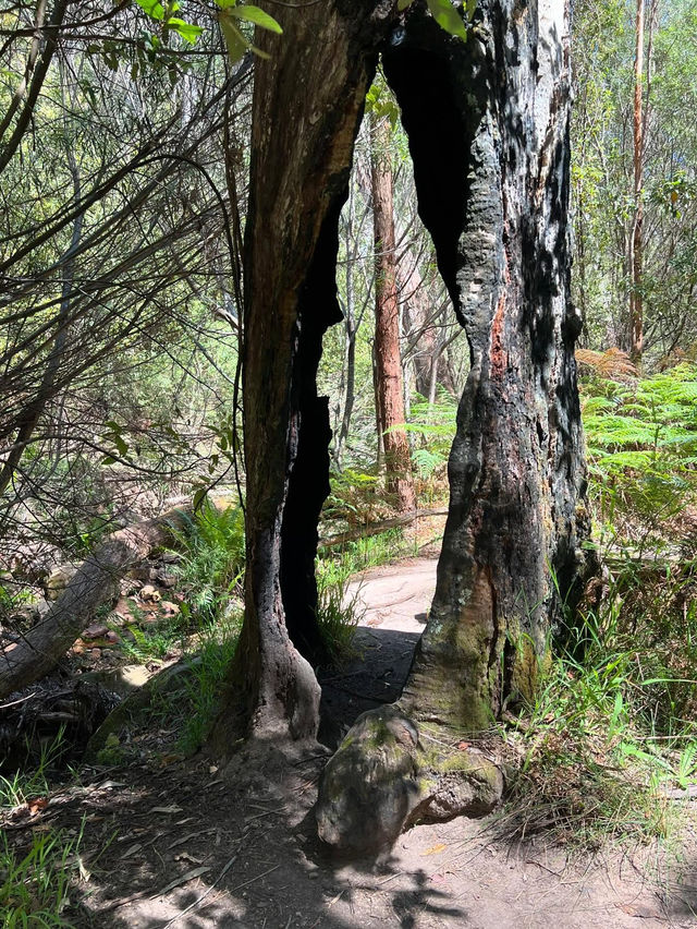 Grampians National Park